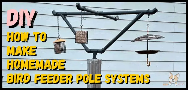 5 Best Pole Mounted Bird Feeders Squirrel Proof