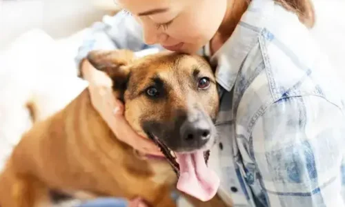 Is It Cruel To Hold A Dog By The Scruff?