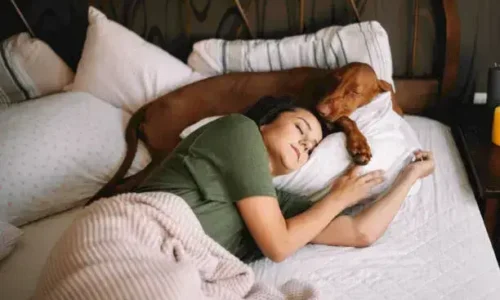 Do Dogs Sleep Near The Alpha?