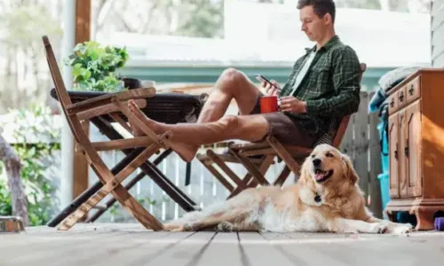 What Does It Mean When A Dog Sits With His Back To You?