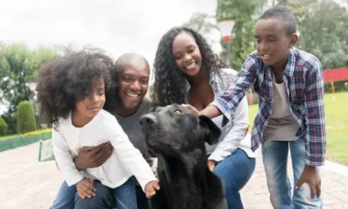 Should You Wash Your Hands Every Time You Touch Your Dog?