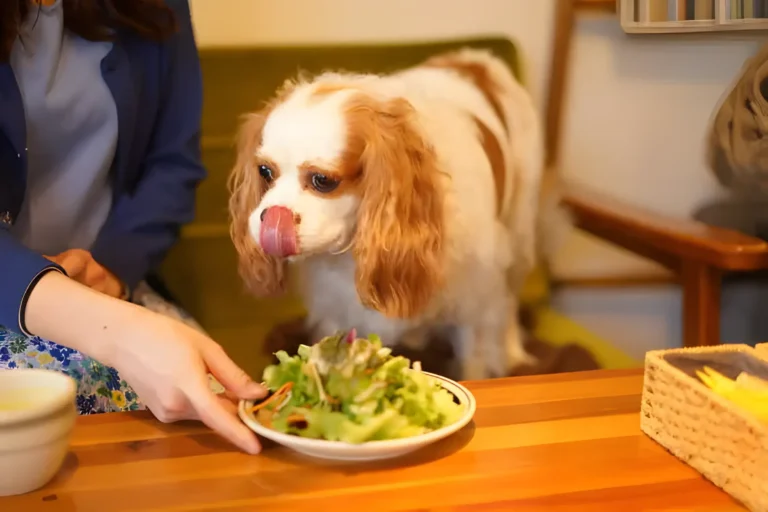 Is Kale Okay for Dogs