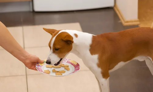 Can Dogs Have Brown Sugar Pop Tarts? Crucial Guide