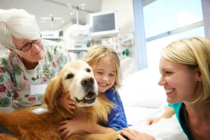 Can Therapy Dogs Make Money