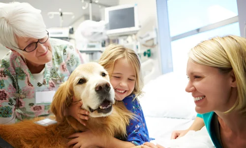 Can Therapy Dogs Make Money? Yes (This Much)