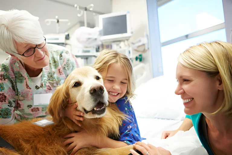 Can Therapy Dogs Make Money