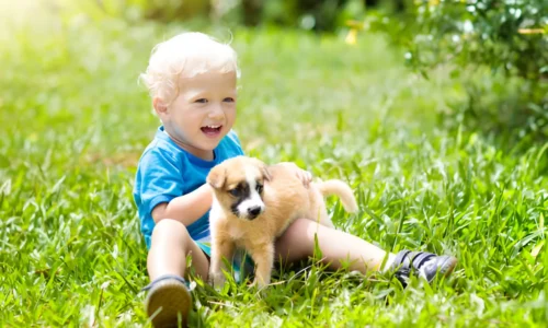 Do Babies Think Puppies Are Cute? Fun Fats to Know