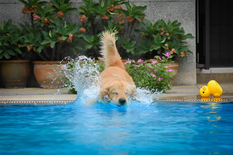 Do Golden Retrievers Like Water