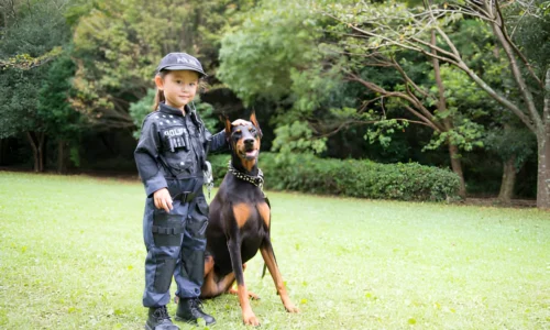 Do Police Still Use Dobermans? Yes (Reasons)