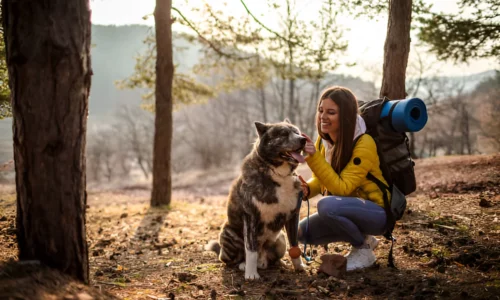 How Do I Keep My Dog Safe on a Hike? Tips and Tricks