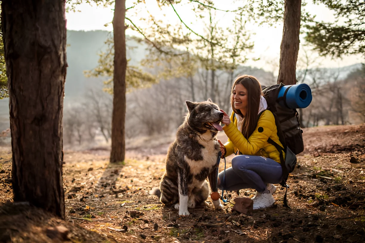 How Do I Keep My Dog Safe on a Hike