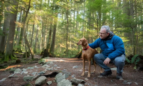 How Long Can a Dog Hike Without Water? Crucial Guide