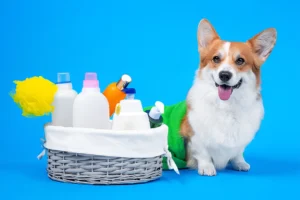 What Dog Shampoo Removes Saliva Stains