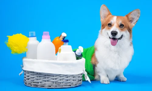 What Dog Shampoo Removes Saliva Stains? Answer