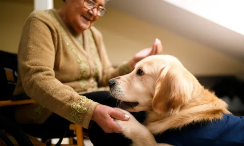 Can Therapy Dogs Be Guard Dogs? What to Expect