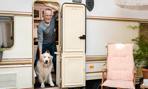 Can You Leave Pets Alone in an RV? Crucial Guide