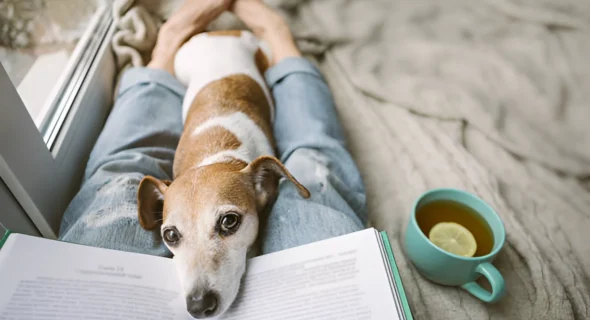 Do Dogs Know If We’re Sick? Yes (Facts to Know)