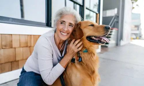 Do Golden Retrievers Like to Cuddle? Yes (Fun Facts)