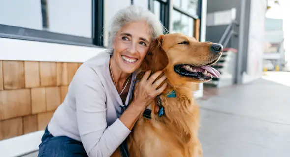 Do Golden Retrievers Like to Cuddle? Yes (Fun Facts)