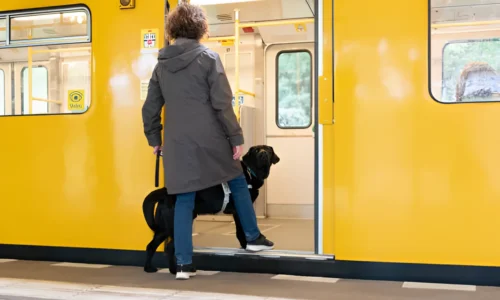 How Do I Get My Dog Used to the Subway? Tips & Tricks