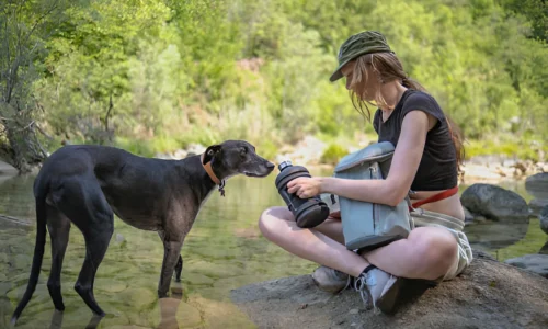 How Do You Give a Dog Water on a Hike? Tips