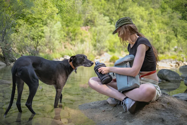 How Do You Give a Dog Water on a Hike