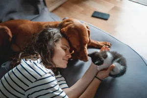 How Do You Introduce a Cat to a Dog for the First Time