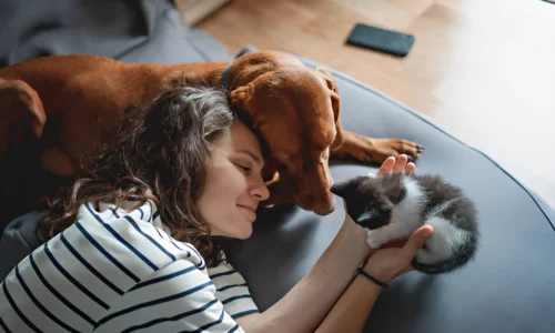 How Do You Introduce a Cat to a Dog for the First Time?