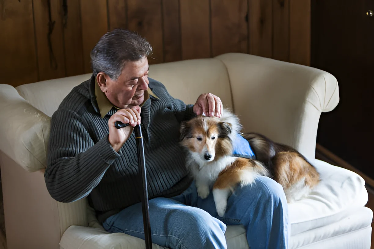 How Long Does It Take to Train a Dog to Be a Therapy Dog