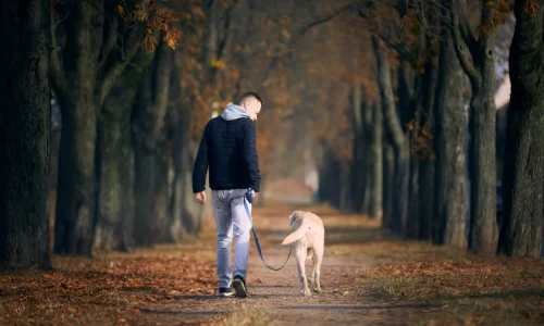 Is a 2-Hour Walk Too Long for a Dog? Your Answer