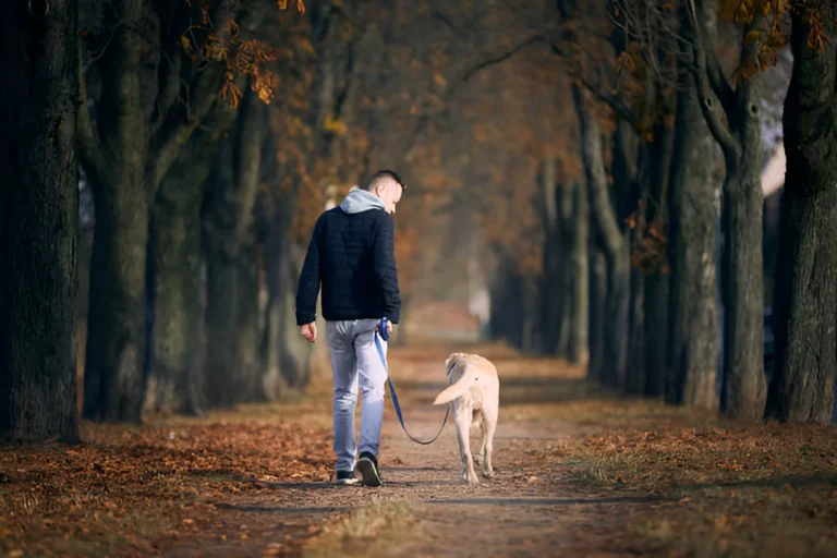 Is a 2-Hour Walk Too Long for a Dog Your Answer