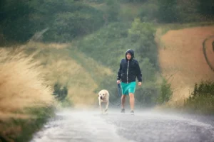 Should Dogs Hike in the Rain