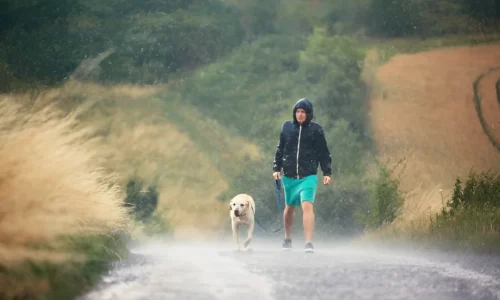 Should Dogs Hike in the Rain? Yes (Safety Guide)