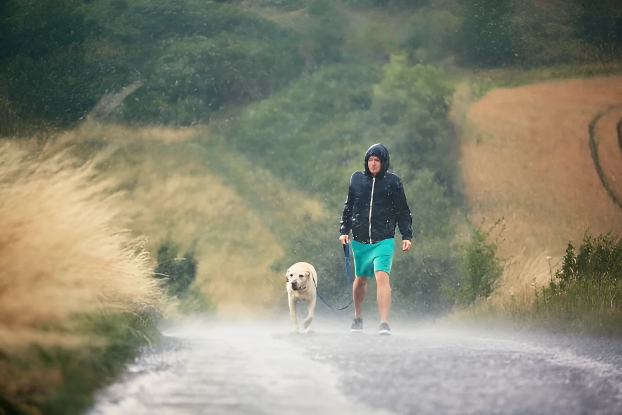 Should Dogs Hike in the Rain