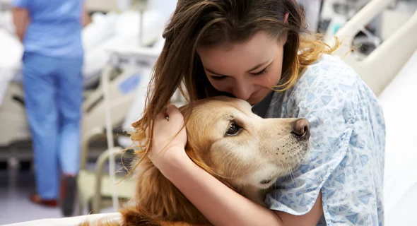 Therapy Dog vs Companion Dog Difference: Explained