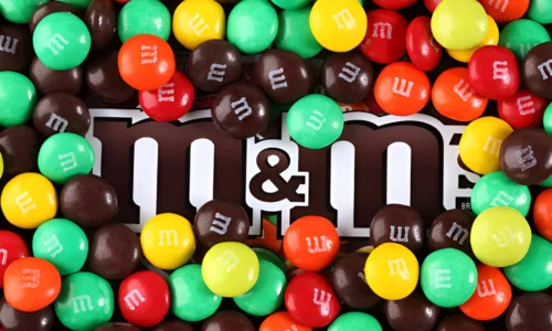 What Happens If My Dog Ate One M&M? Explained